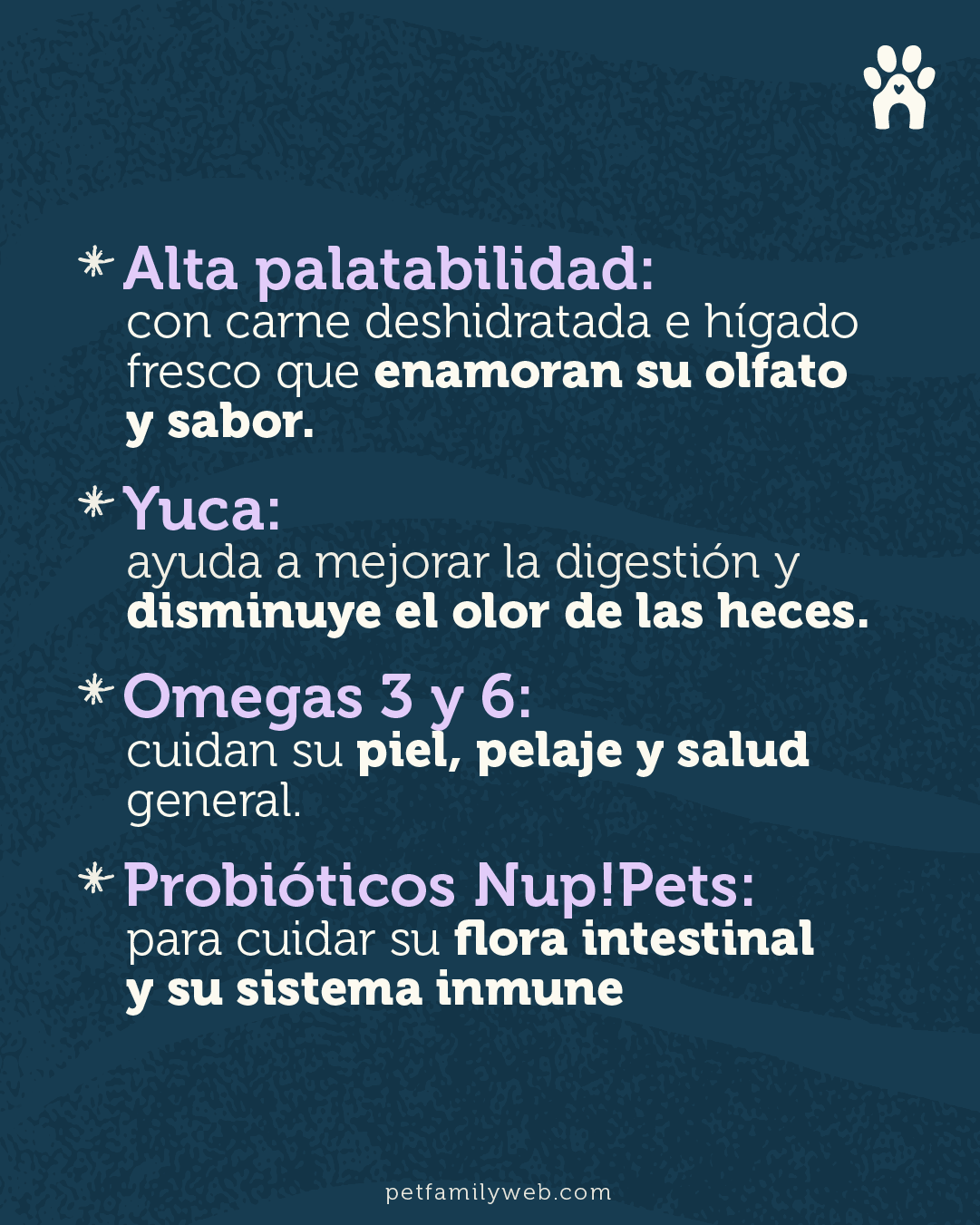 Pet Family Perro Adulto Grain Free 12 Kg