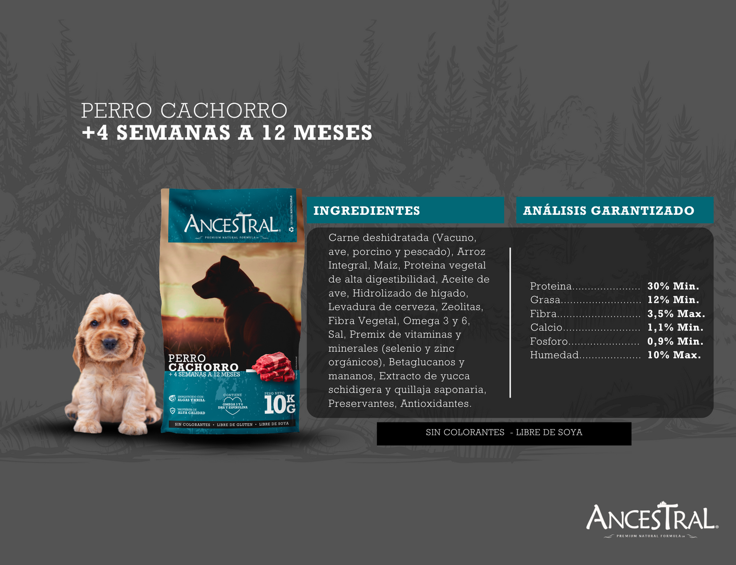 Ancestral Perro Cachorro 10 Kg