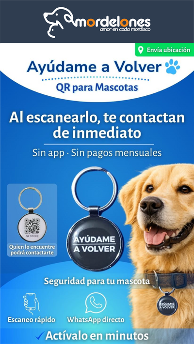 Ayúdame a Volver placa de identificación para mascota diseño verde