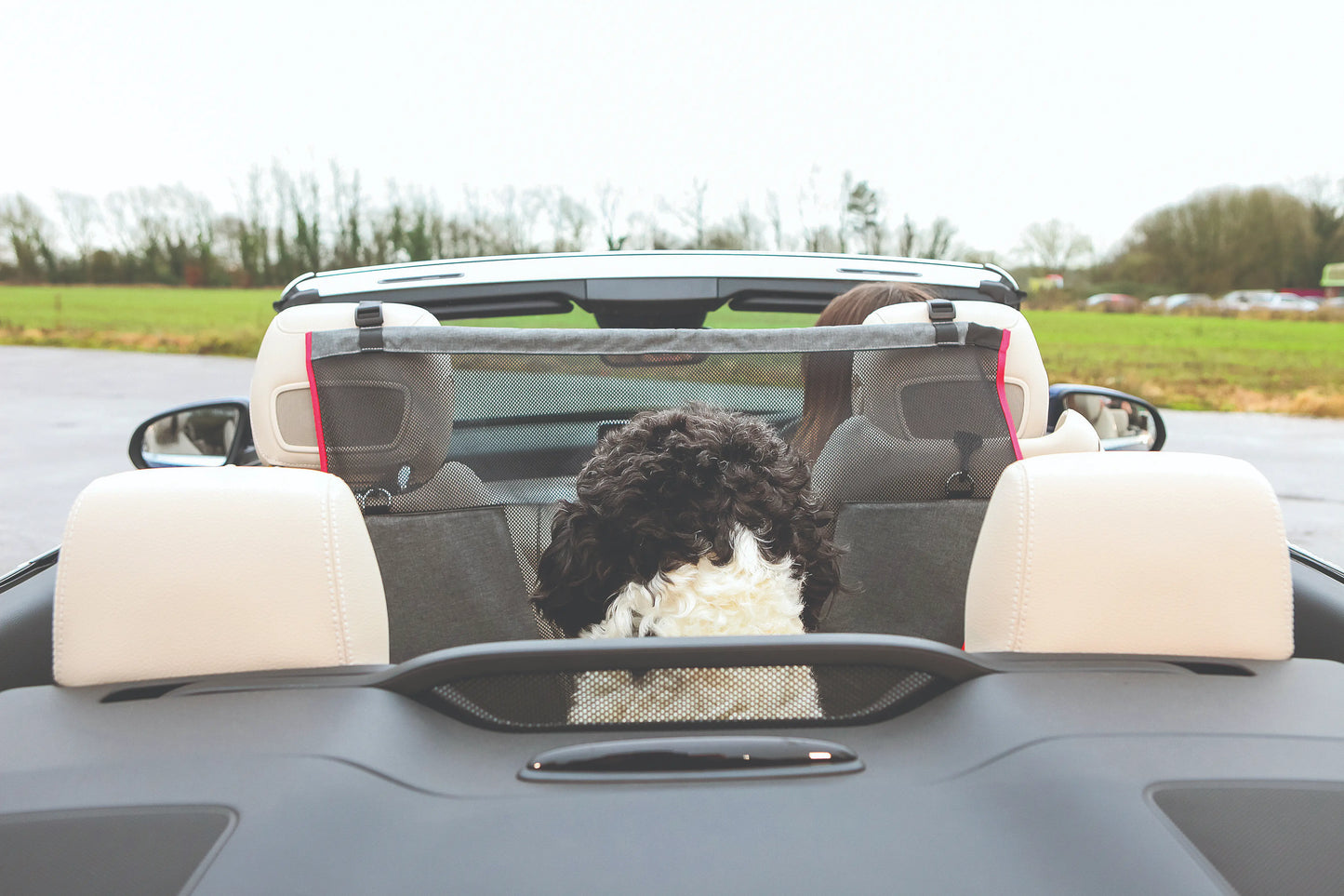 KONG Protective Seat Barrier Barrera para Auto de Perros