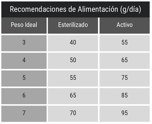 Leonardo Adult GF libre de granos alimento seco para gatos empaque completo