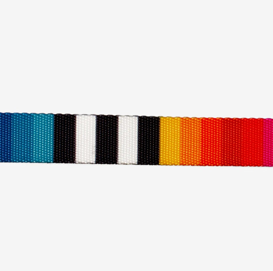 Zee Dog Prisma Collar Perritos