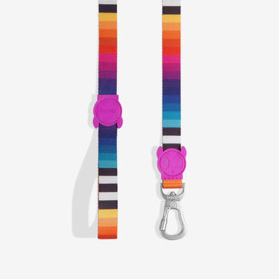 Zee Dog Prisma Correa Perritos - Correa para perros