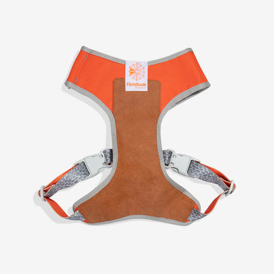 Reebok Suede arnés ajustable Air Mesh para perros vista frontal