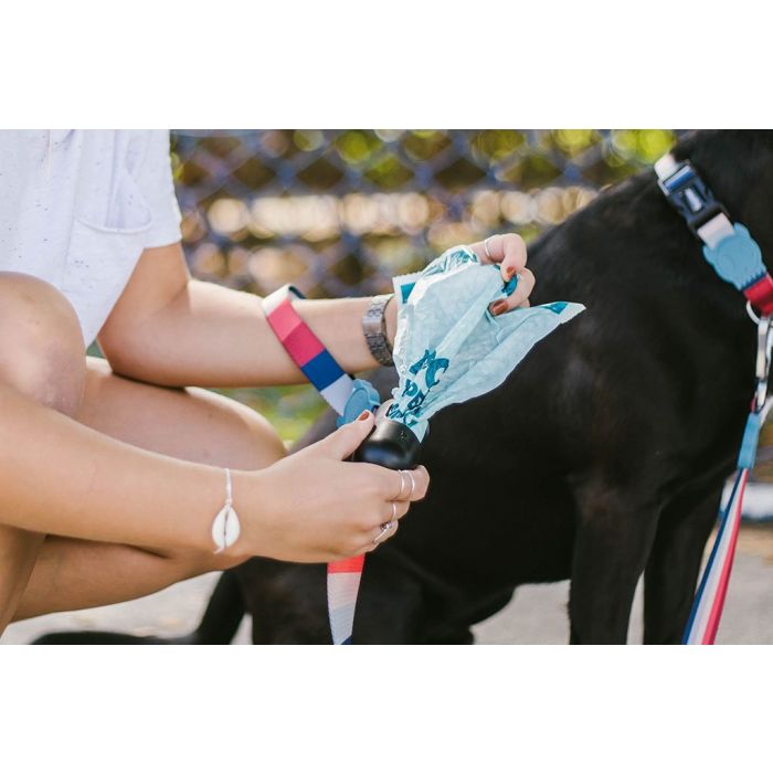 Zee Dog 60 Bolsitas Higiénicas Compostables (4 rollos)