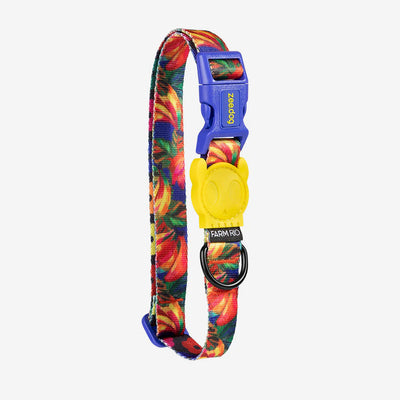 Zee Dog Samba collar para perros vista principal diseño colorido
