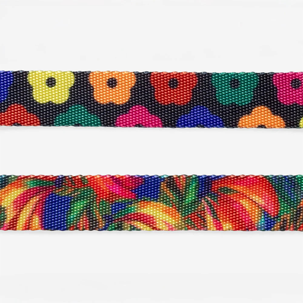Zee Dog Collar Samba