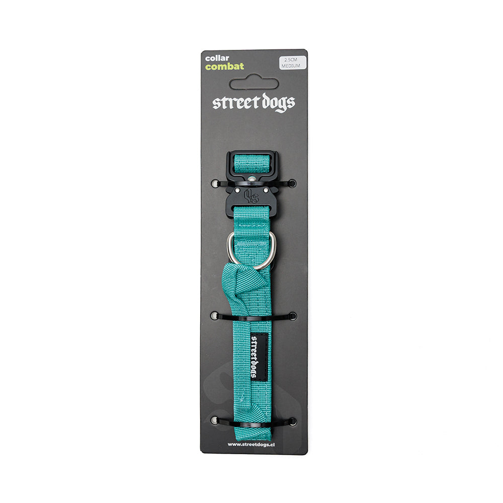 Street Dogs Collar Perro Combat 2,5 cm Turquesa en su empaque