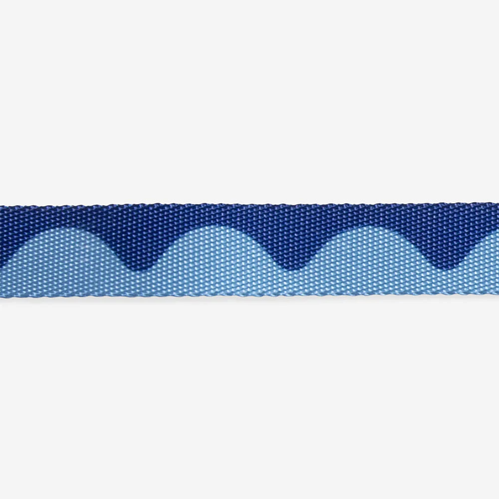 Zee Dog Collar Swell