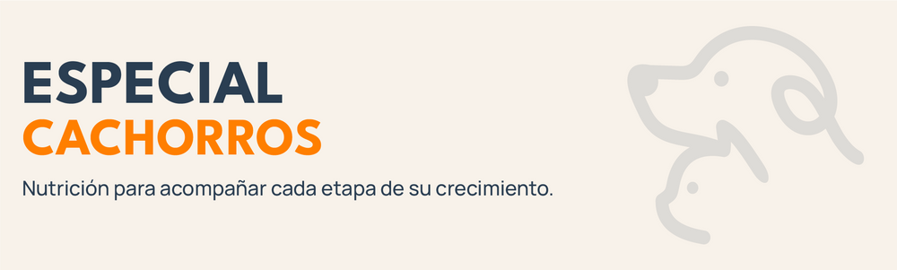 Banner especial cachorros con isotipo de Mordelones y nutrición para acompañar cada etapa de su crecimiento.