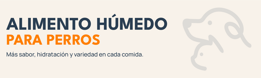 Banner de alimento húmedo para perros con isotipo de Mordelones, ideal para aportar sabor, hidratación y variedad a sus comidas.
