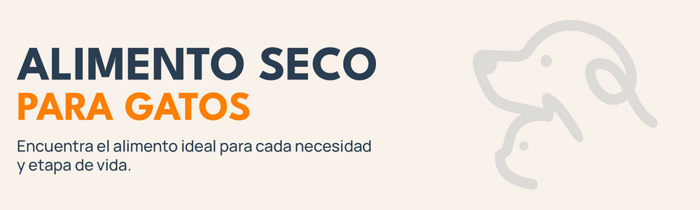 Banner de alimento seco para gatos con isotipo de Mordelones y selección de alimentos para cada necesidad y etapa de vida.