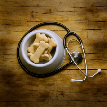 Dieta medicada perros