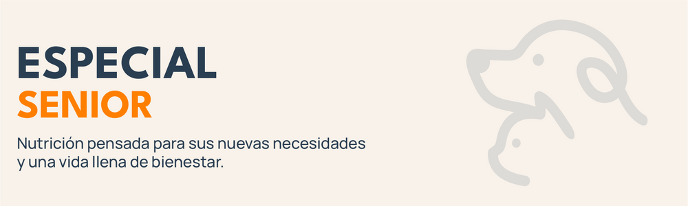 Alimentación especial para perros senior, adaptada a sus nuevas necesidades y bienestar.