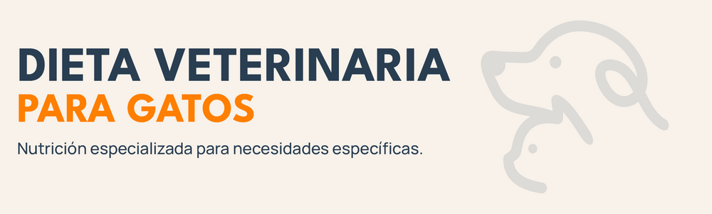 Banner de dieta veterinaria para gatos con isotipo de Mordelones y nutrición especializada para necesidades específicas.