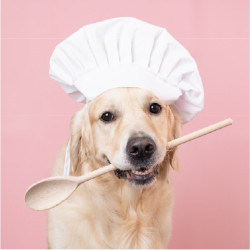 Toppings y sazonadores para perros