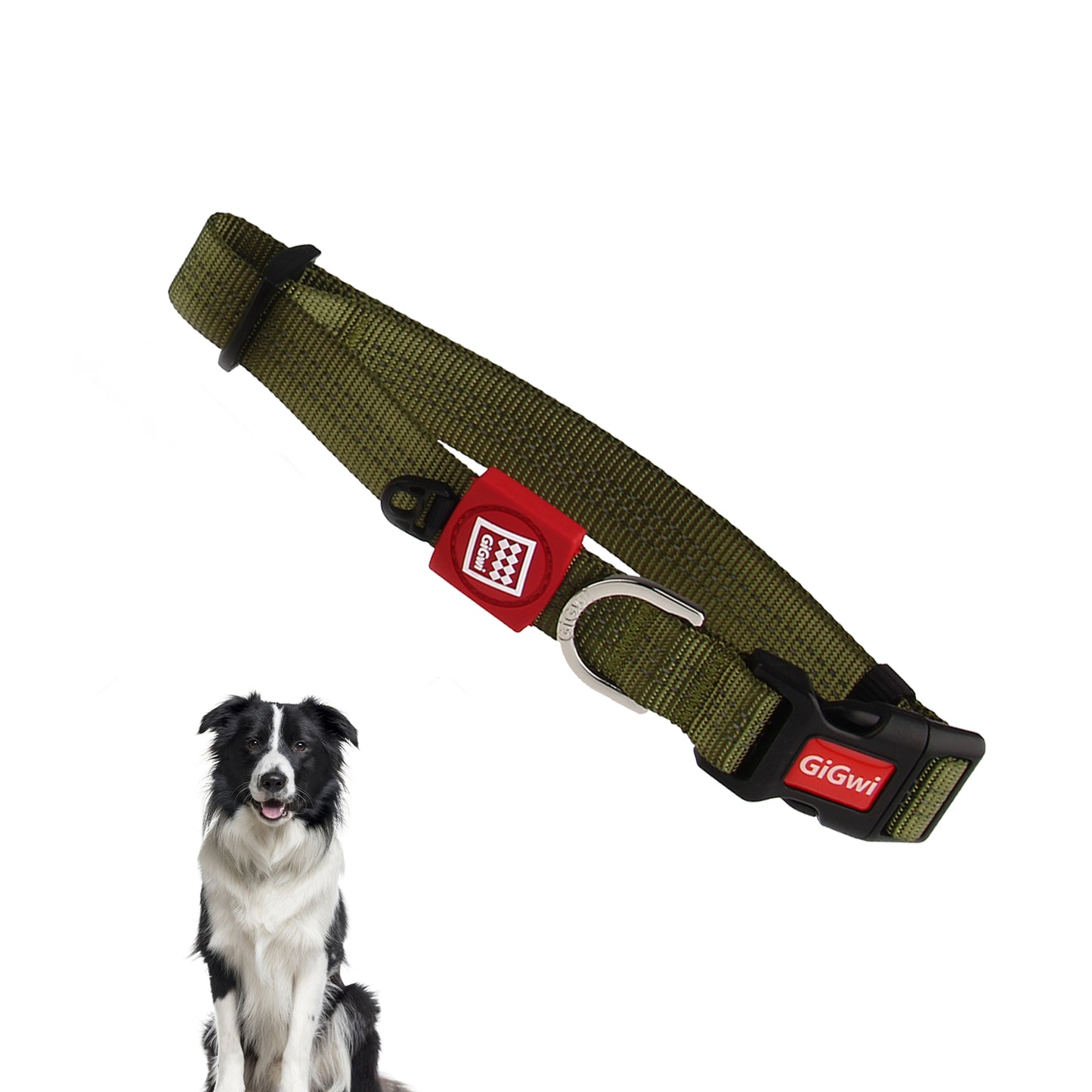 Gigwi Collares Perro Línea Clásica