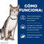 Hill's Gato Prescription Diet Kidney Care k/d 3.85 Kg