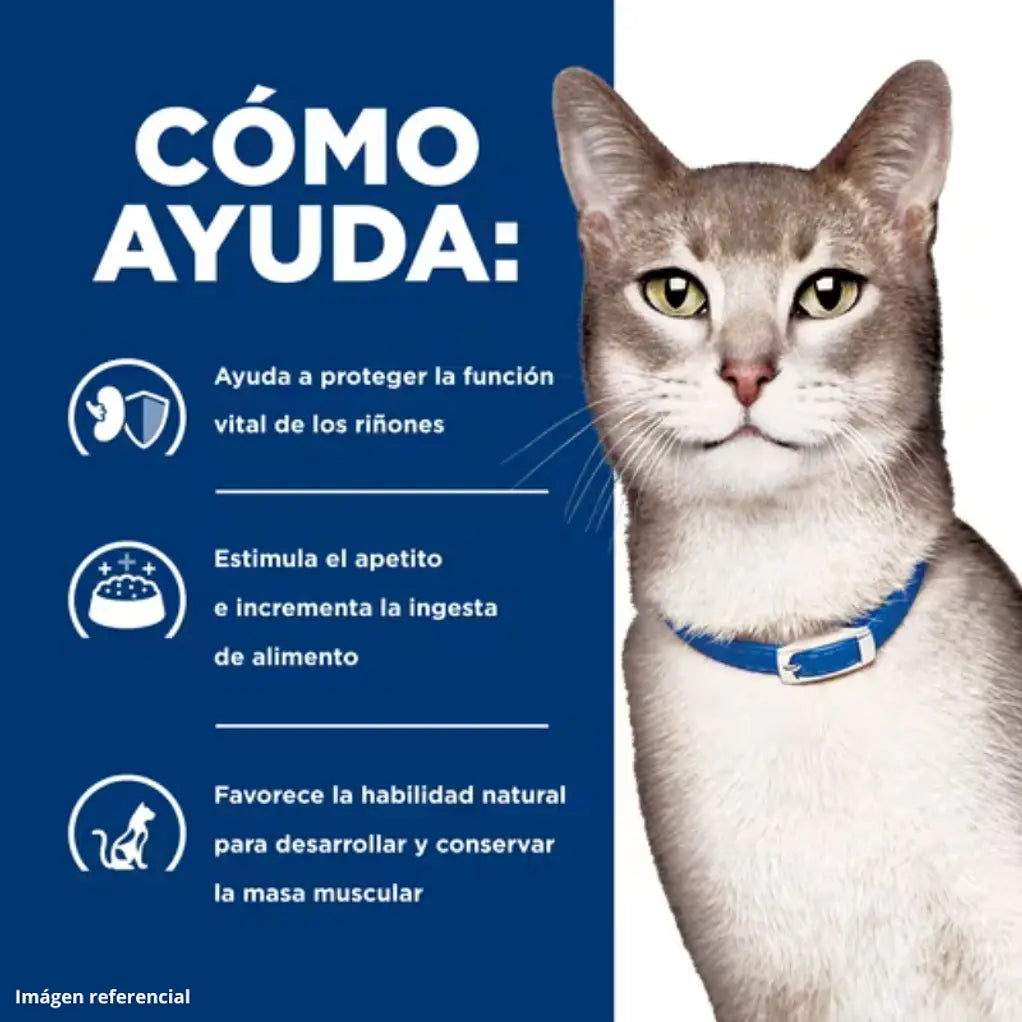 Hill's Gato Prescription Diet Kidney Care k/d 3.85 Kg