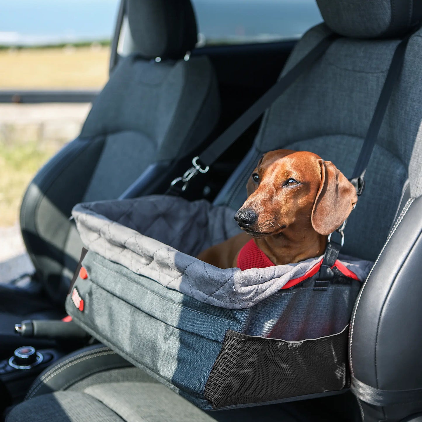 KONG Secure Booster Seat Asiento Elevado para Perros