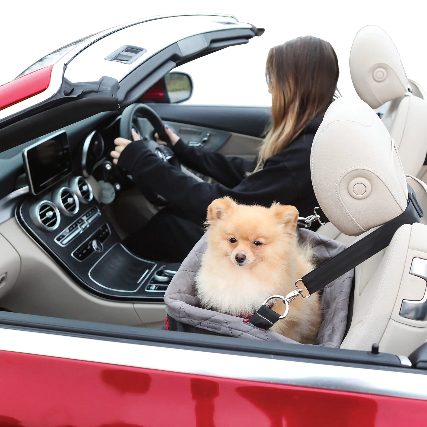 KONG Secure Booster Seat Asiento Elevado para Perros