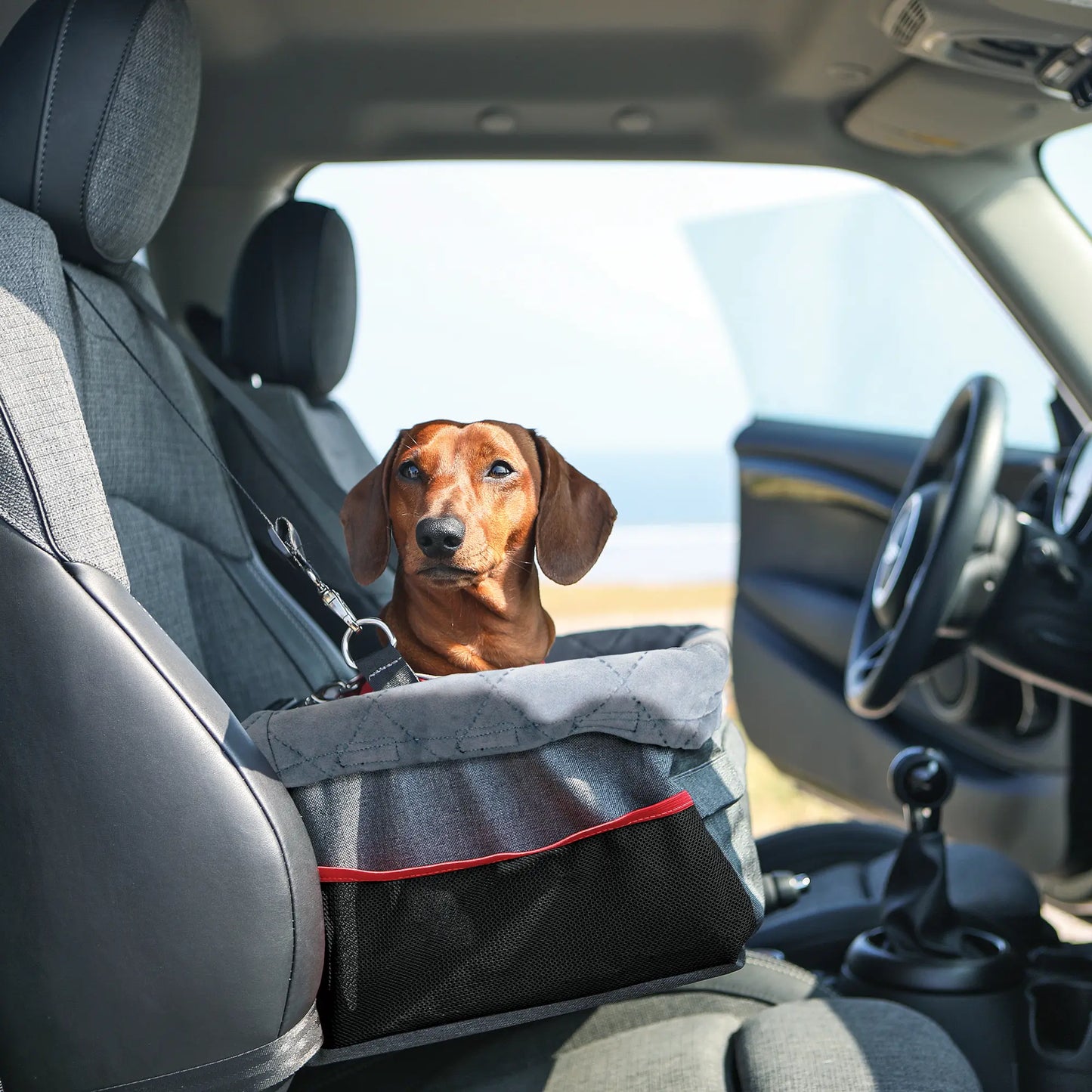 KONG Secure Booster Seat Asiento Elevado para Perros