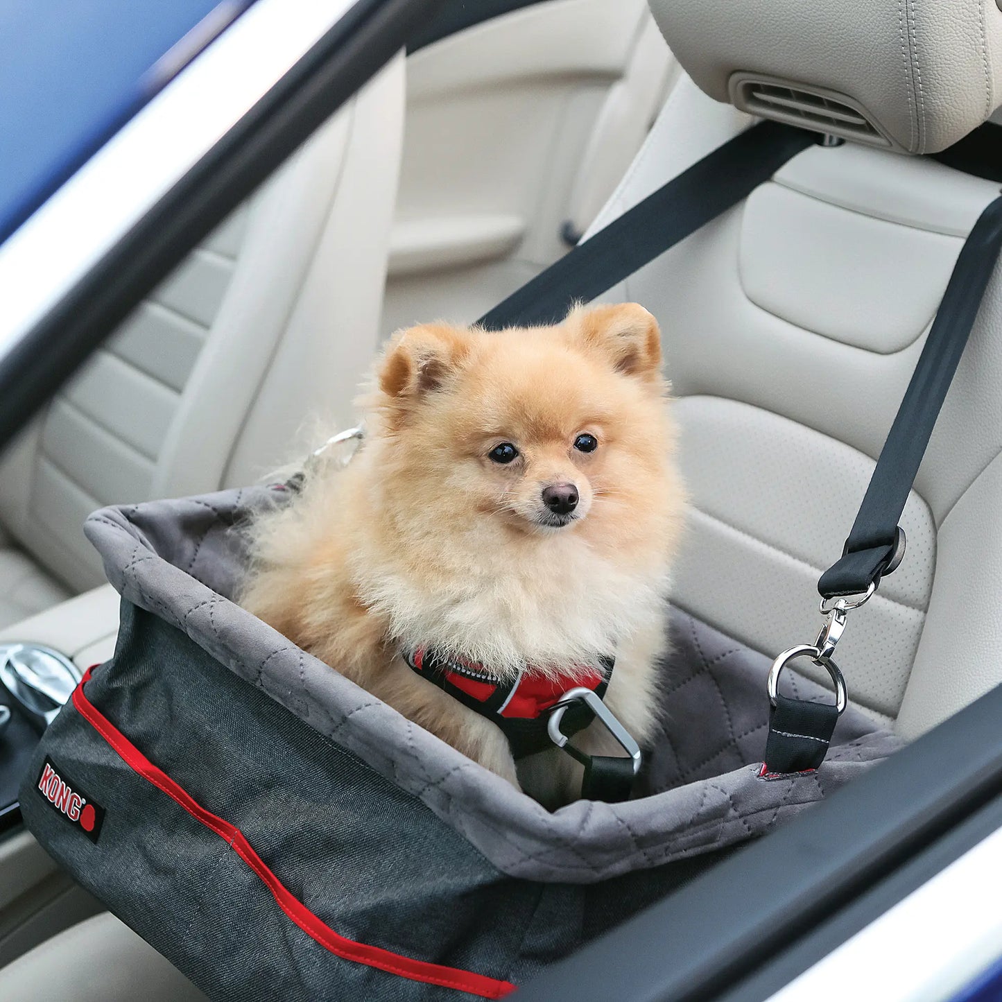 KONG Secure Booster Seat Asiento Elevado para Perros