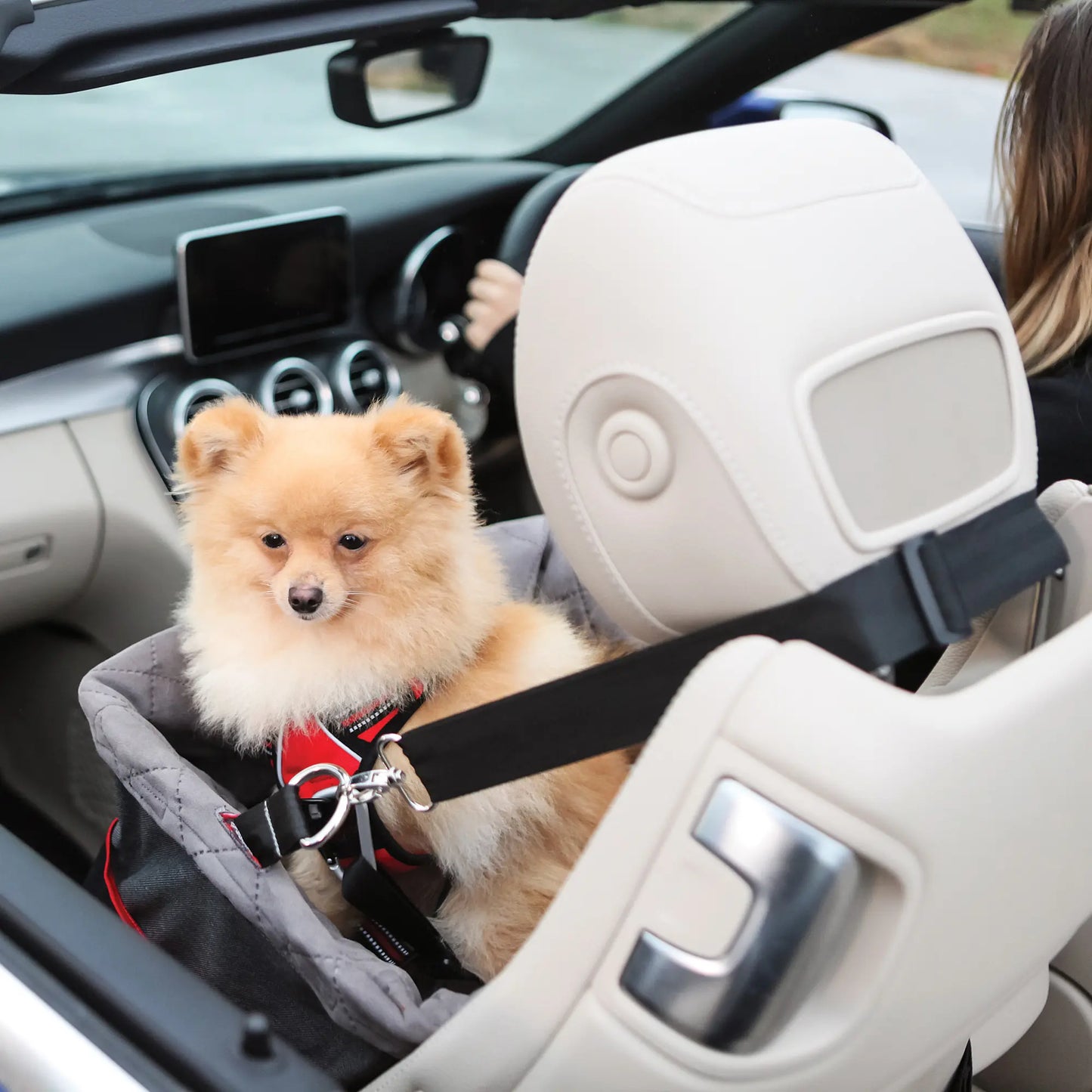 KONG Secure Booster Seat Asiento Elevado para Perros