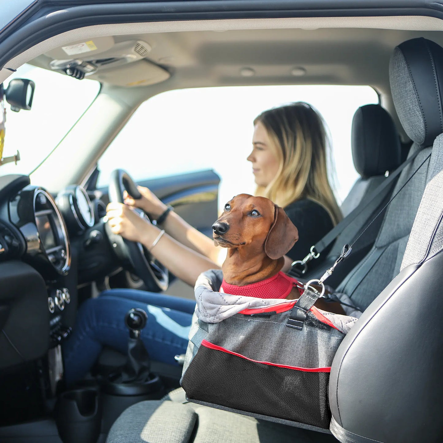 KONG Secure Booster Seat Asiento Elevado para Perros