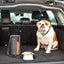 KONG Kibble Bag Bolsa para Alimento de Viaje