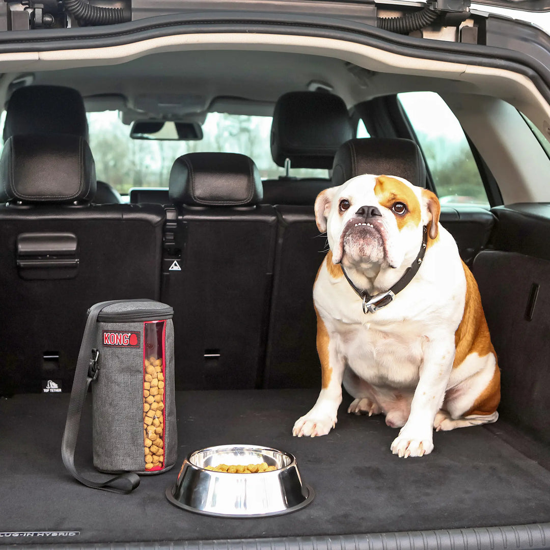 KONG Kibble Bag Bolsa para Alimento de Viaje, vista 4