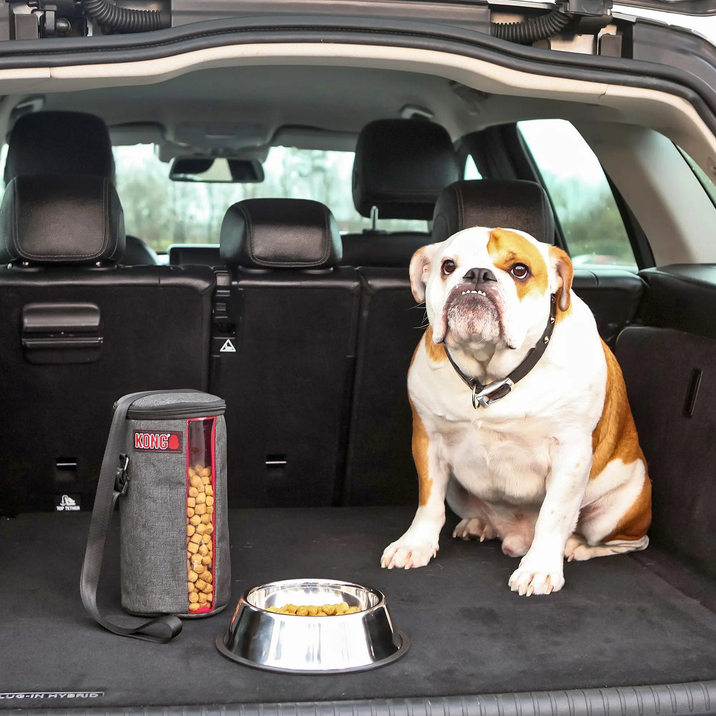 KONG Kibble Bag Bolsa para Alimento de Viaje