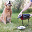 KONG Kibble Bag Bolsa para Alimento de Viaje