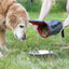 KONG Kibble Bag Bolsa para Alimento de Viaje