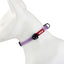 Gigwi Collares Perro Línea Clásica