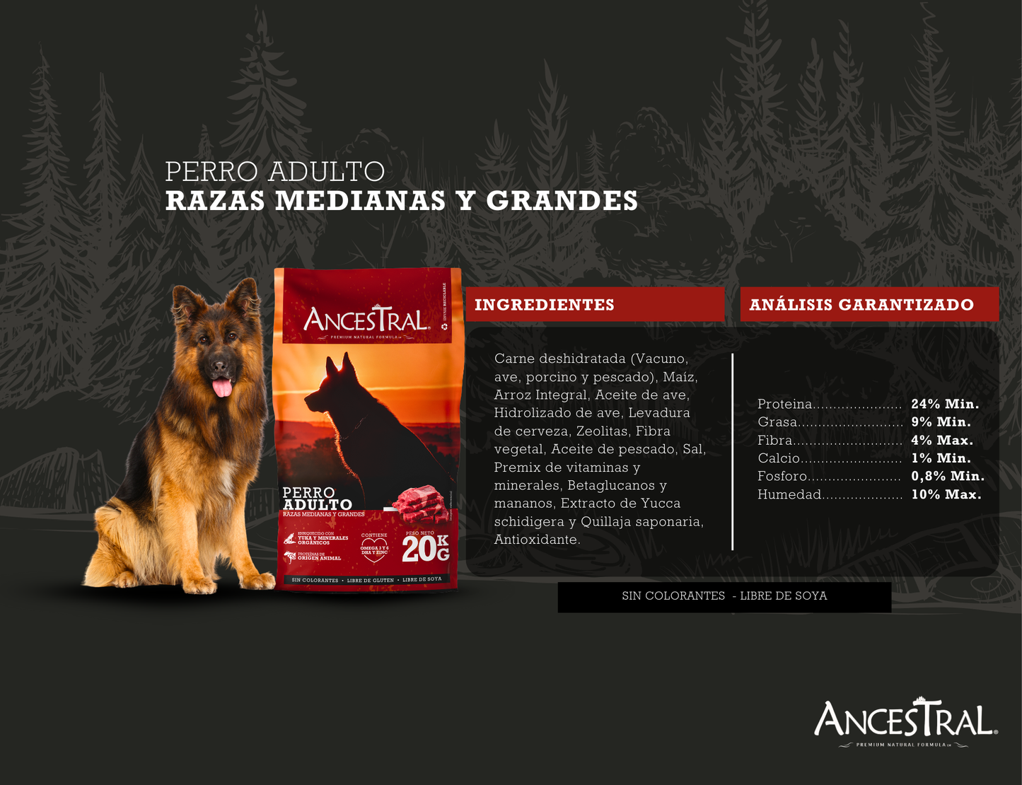 Ancestral Perro Adulto 20 Kg