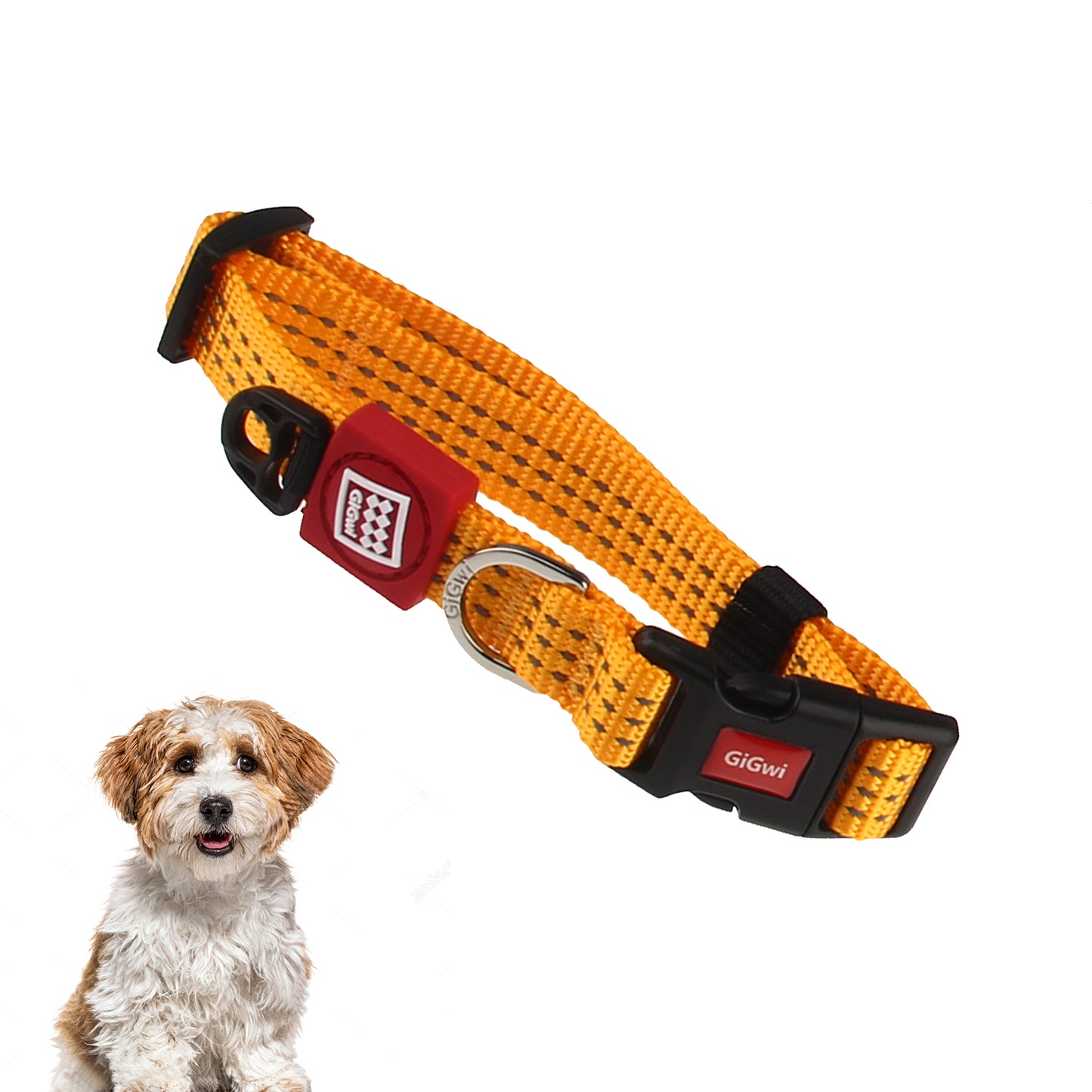Gigwi Collares Perro Línea Clásica