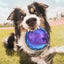 Gigwi Pelota Squeaker Small - Set de 3 Pelotas