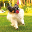 Gigwi Pelota Squeaker Medium - Set de 2 Pelotas