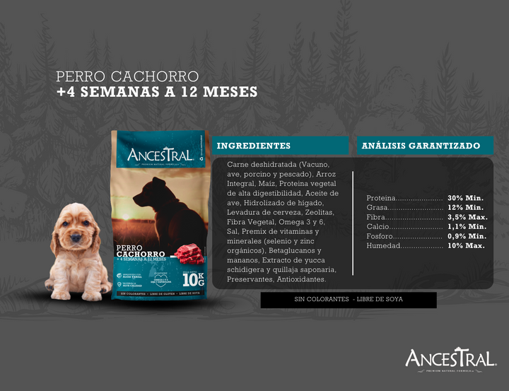Ancestral cachorro croquetas detalle