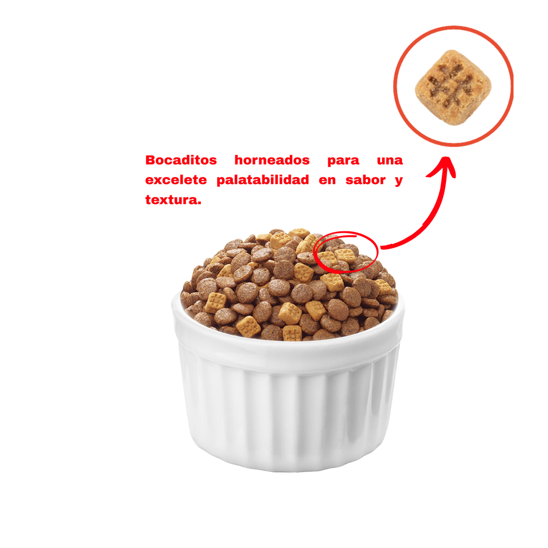 Wanpy gato grain free atún detalle croquetas