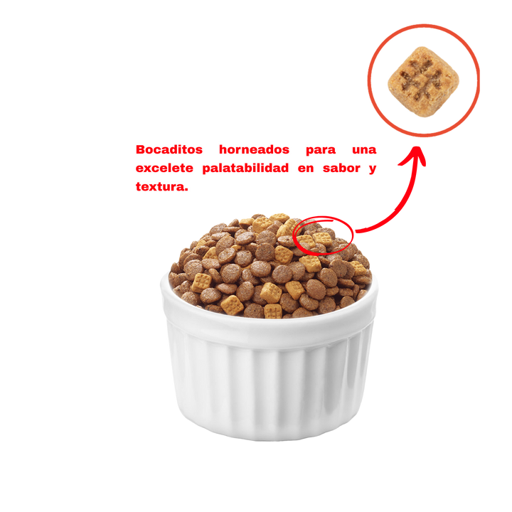 Wanpy gato grain free atún detalle croquetas