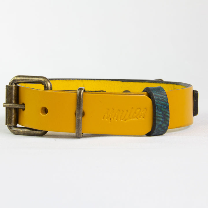 Collar Perro Duke Cuero Amarillo/Jeans