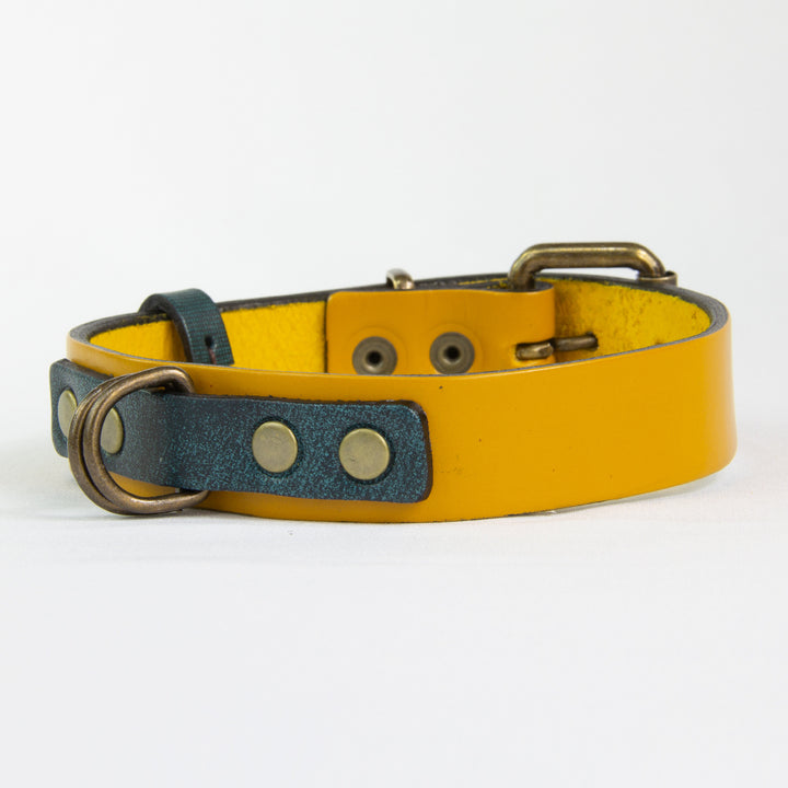 Collar Perro Duke Cuero Amarillo/Jeans