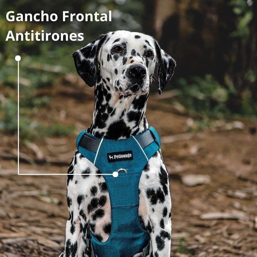 Pet Lounge Arnés Perro Outdoor Azul Petróleo