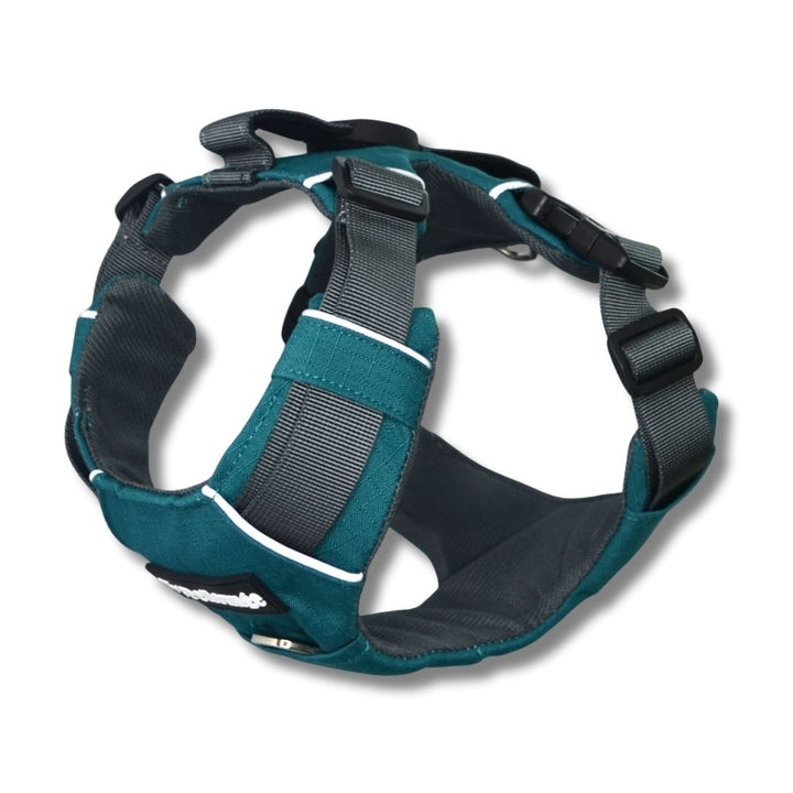 Pet Lounge Arnés Perro Outdoor Azul Petróleo