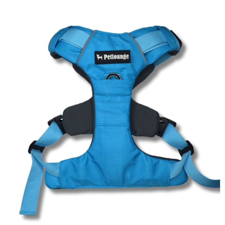 Pet Lounge Arnés Perro Outdoor Celeste