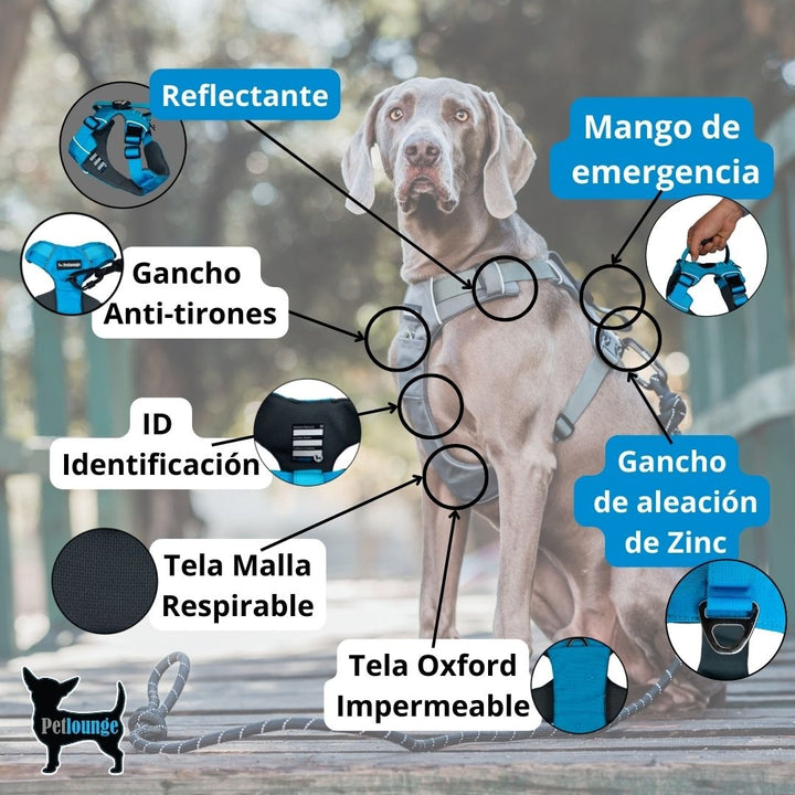 Pet Lounge Arnés Perro Outdoor Celeste