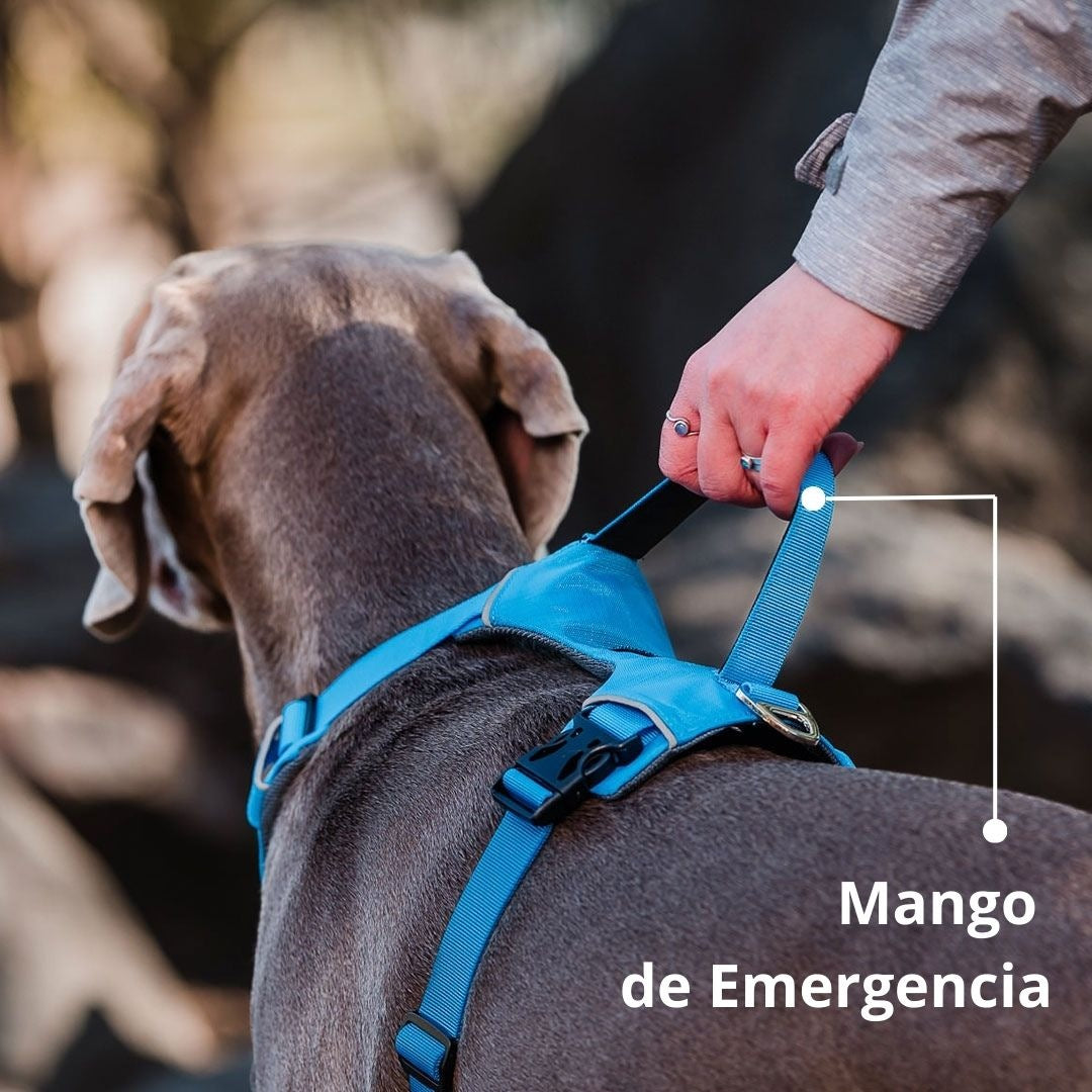 Pet Lounge Arnés Perro Outdoor Celeste