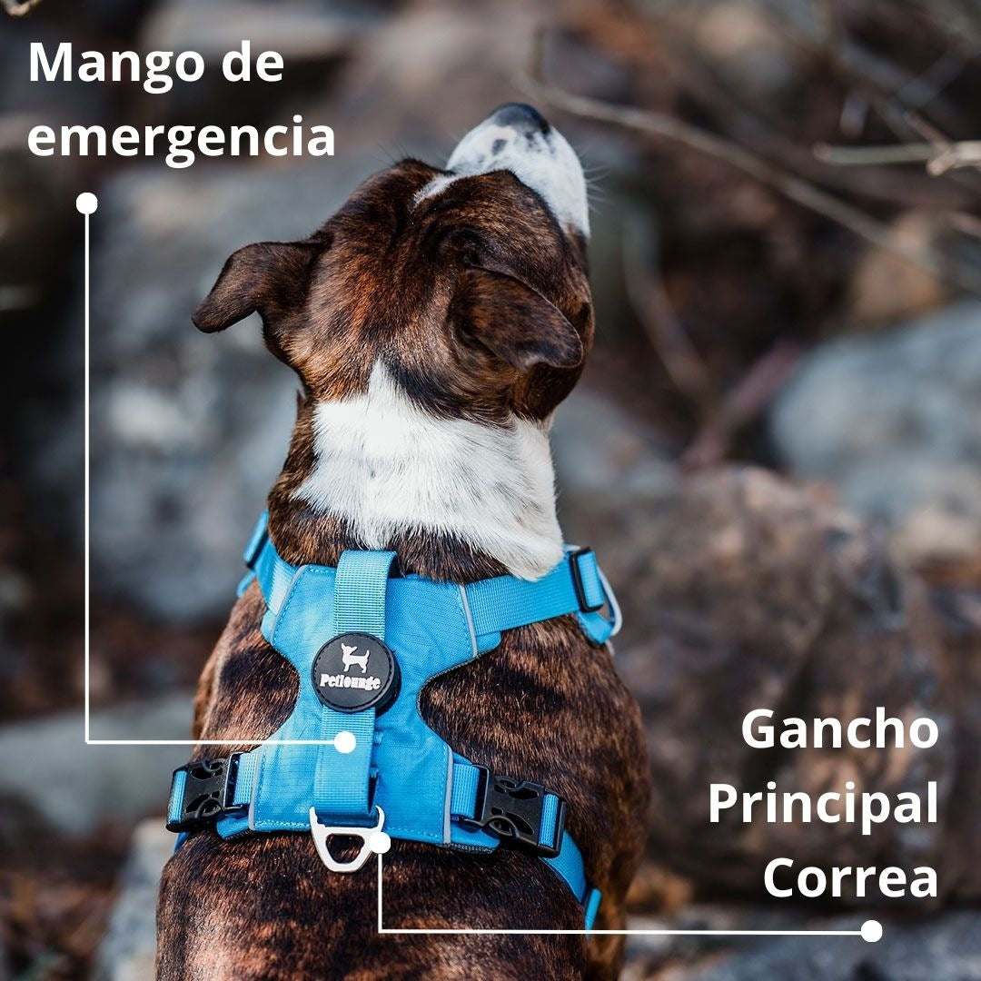 Pet Lounge Arnés Perro Outdoor Celeste